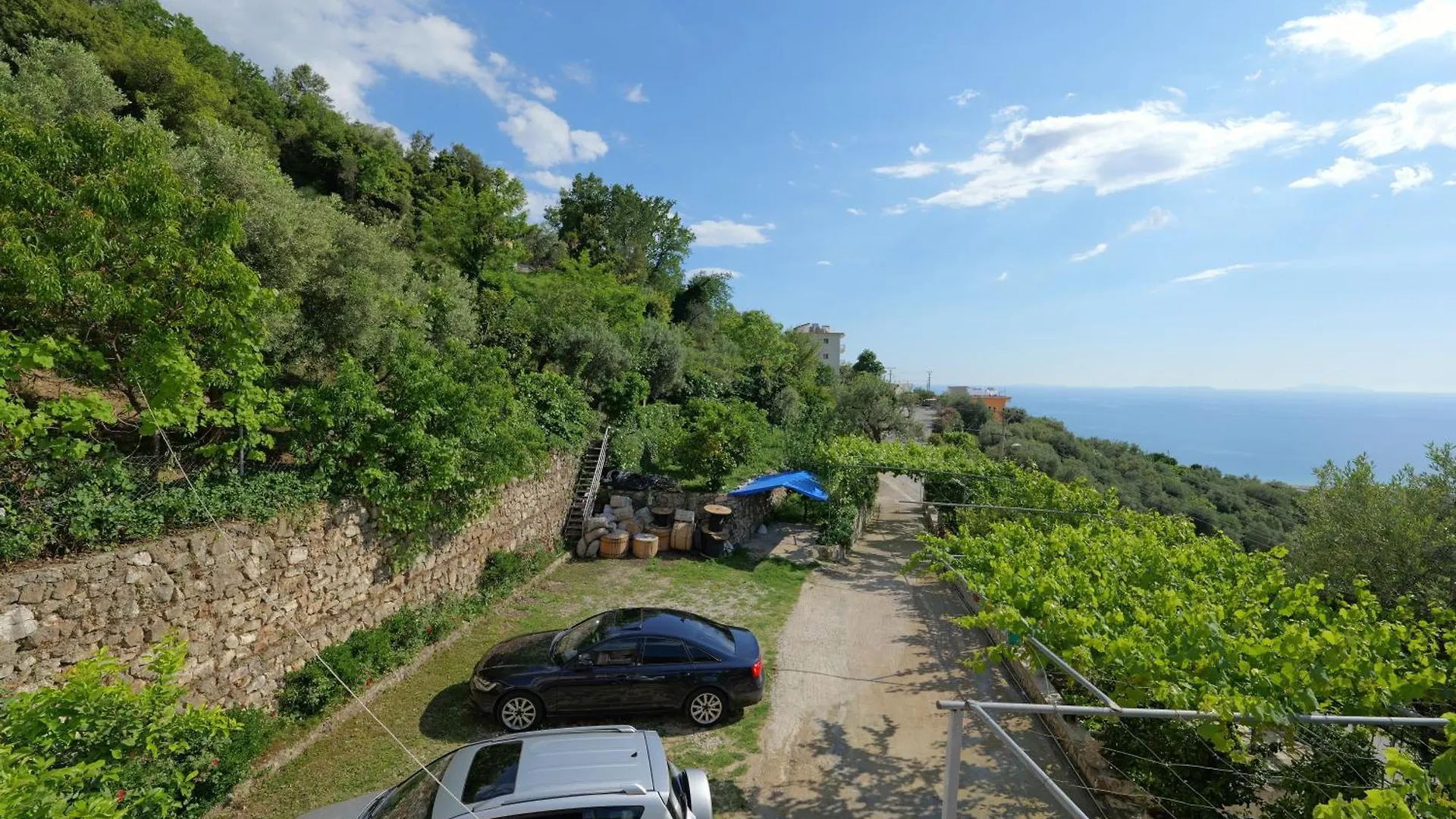 Homestay Arthur'S 4Apartments Borsh